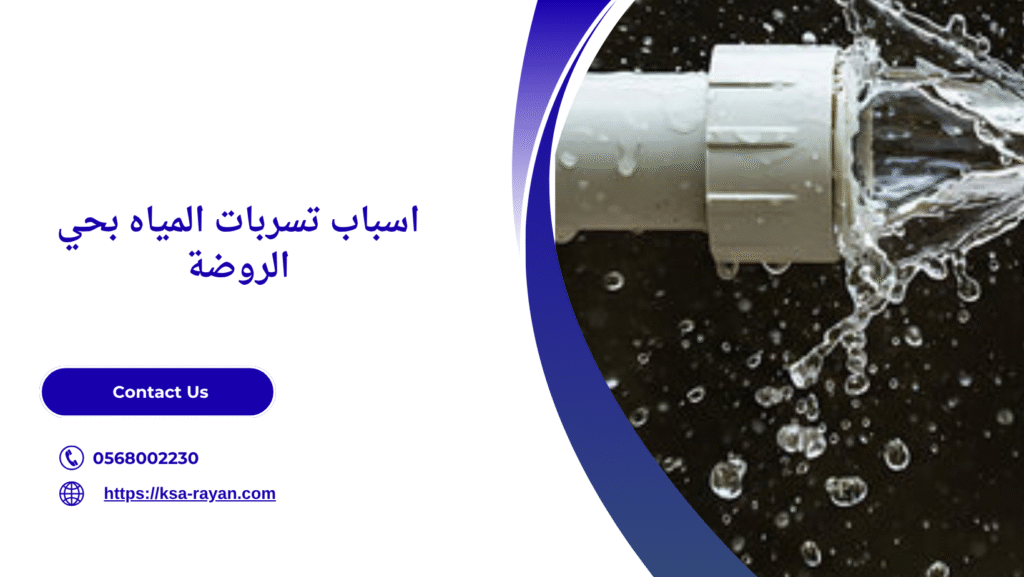 كشف تسربات المياه بحي الروضة