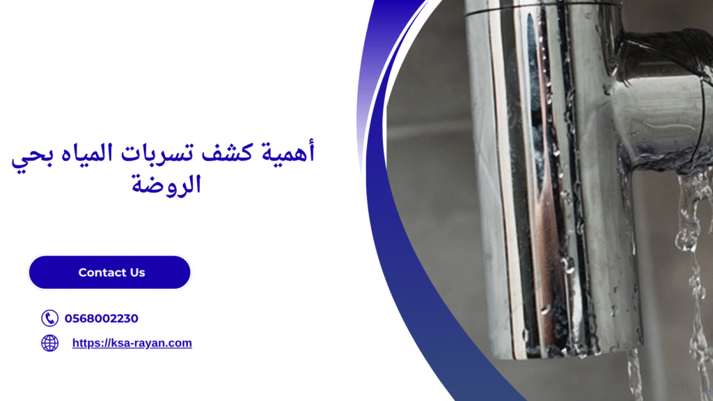 كشف تسربات المياه بحي الروضة