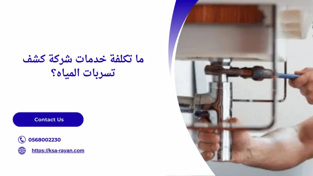 شركة كشف تسربات المياه