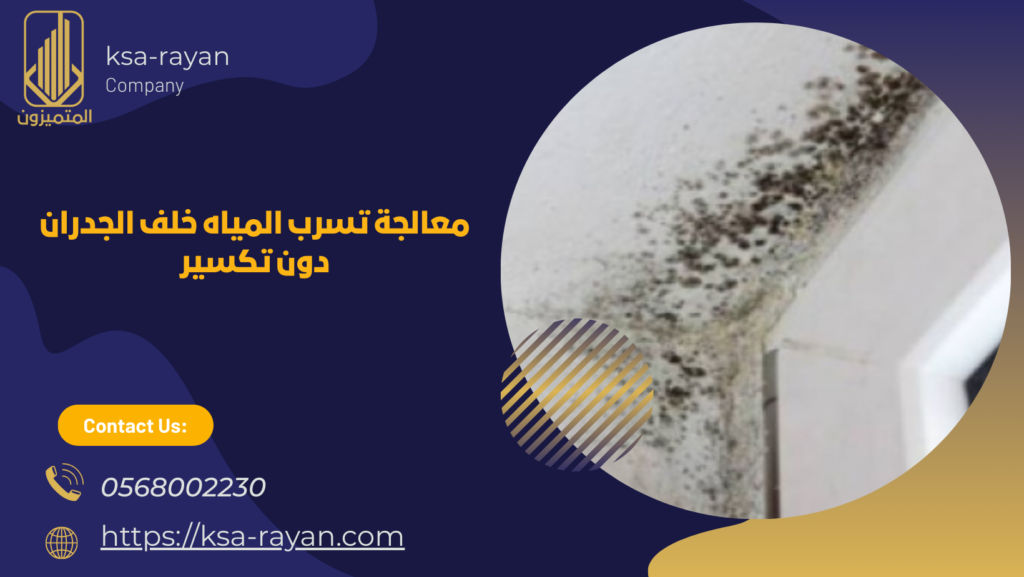 معالجة رطوبة الجدران